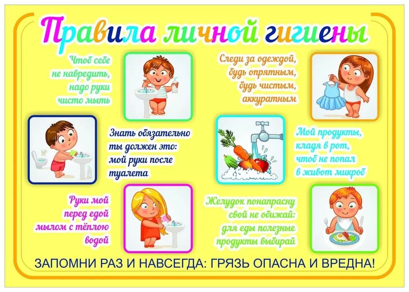 Информационные материалы  о правилах личной гигиены, профилактике заболеваний, правильном питании и здоровом образе жизни.